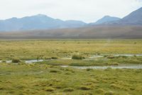 
DSC00231
